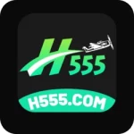H555 Game
